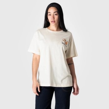 Polo Udibe